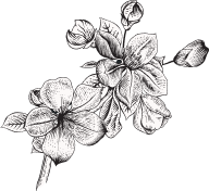 Bouquet de fleurs qui symbolise la mise en avant des logements meublés mis en location